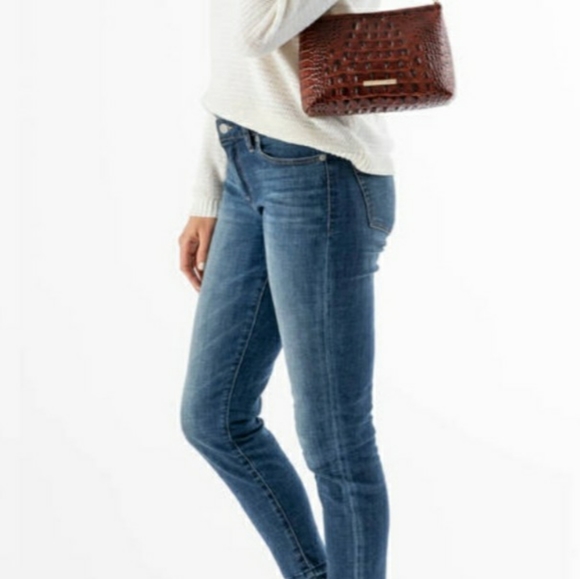 Brahmin - Picture 7 of 7